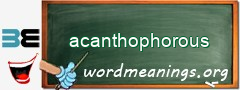 WordMeaning blackboard for acanthophorous